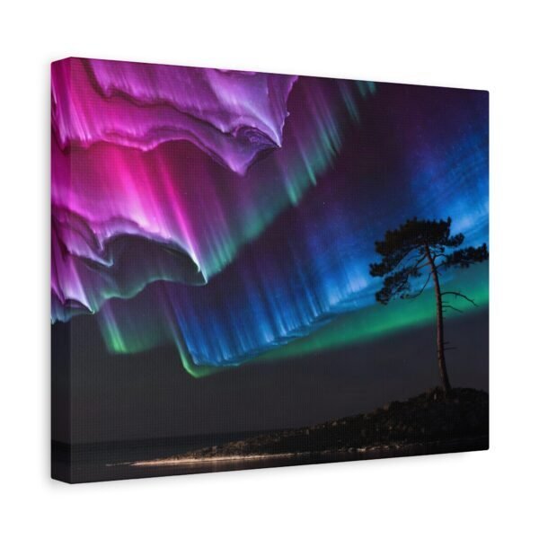 11068098502154055836_2048.jpeg Pine Watching Magenta – Sofia Larsson | Fine Art Print