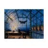 11454239140601835057_2048.jpeg Glass Holding Moths – Carmen Delacroix | Fine Art Print