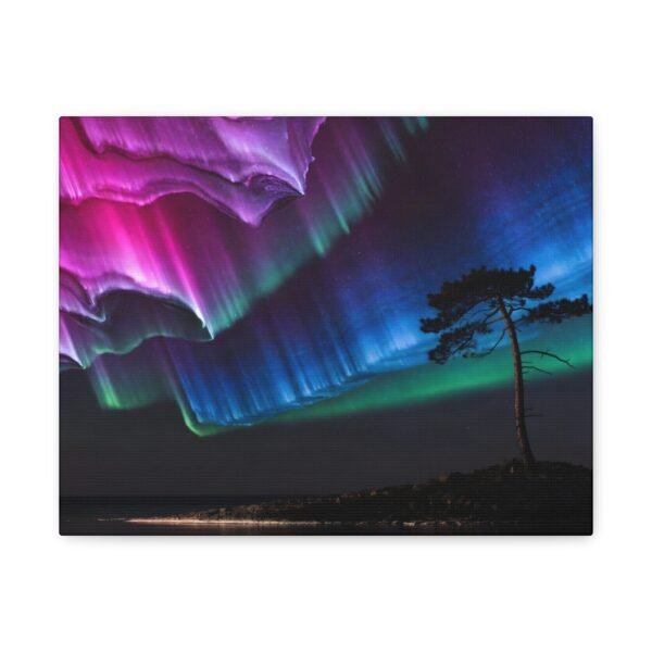 12224115425121471696_2048.jpeg Pine Watching Magenta – Sofia Larsson | Fine Art Print