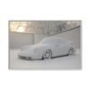 13676432626757217377_2048.jpeg Snow Day