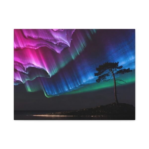 15316128478302992895_2048.jpeg Pine Watching Magenta – Sofia Larsson | Fine Art Print