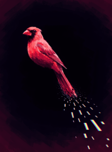Feather Interrupting Signal - Zara Moon | Digital Download