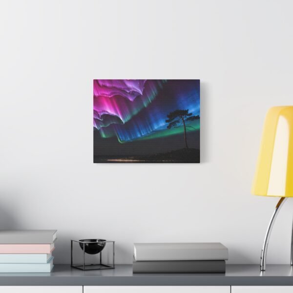 4064731122476742663_2048.jpeg Pine Watching Magenta – Sofia Larsson | Fine Art Print