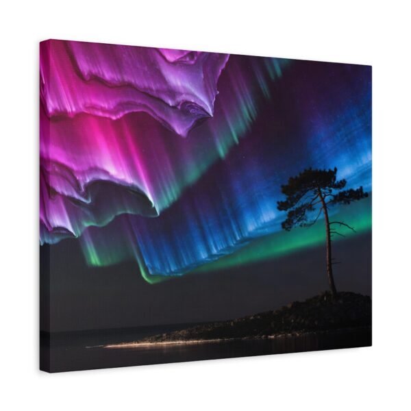 4116901425159651468_2048.jpeg Pine Watching Magenta – Sofia Larsson | Fine Art Print