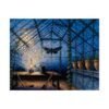 6068247011133295889_2048.jpeg Glass Holding Moths – Carmen Delacroix | Fine Art Print