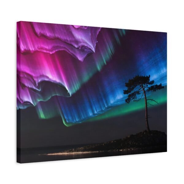 6305568150170546962_2048.jpeg Pine Watching Magenta – Sofia Larsson | Fine Art Print