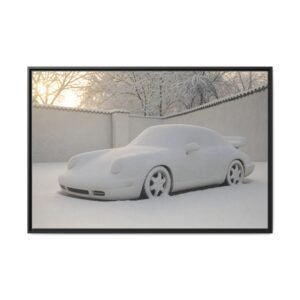 Snow Day
