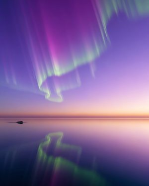 Minimalist digital painting of green, magenta and blue aurora fading into pale gold dawn light above a flat horizon of still water.