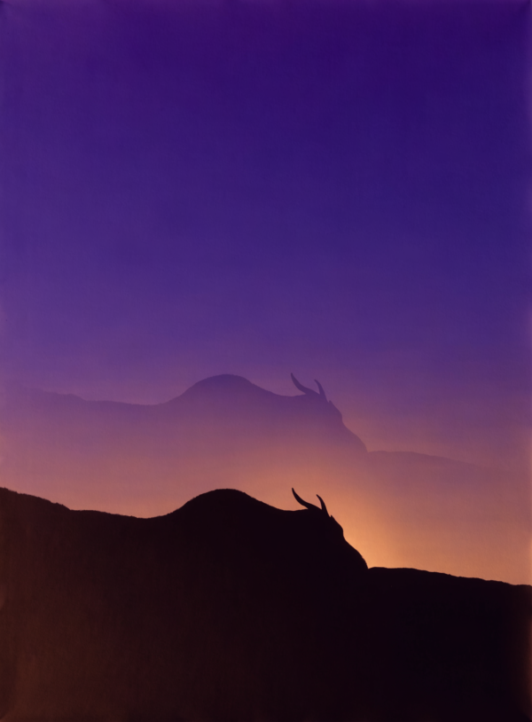 A dark hill silhouetted against violet, indigo and amber dusk gradients under a single low cloud, with the hill's outline forming the shape of a resting deer.