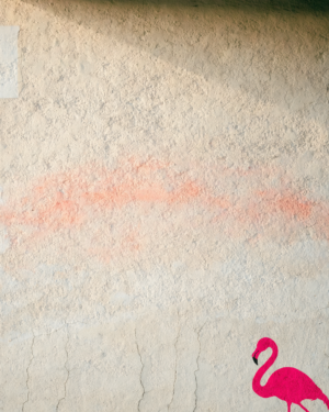 Weathered cream plaster surface with cracks and a painted-over patch, and a small hot-pink stencilled flamingo silhouette near one edge.
