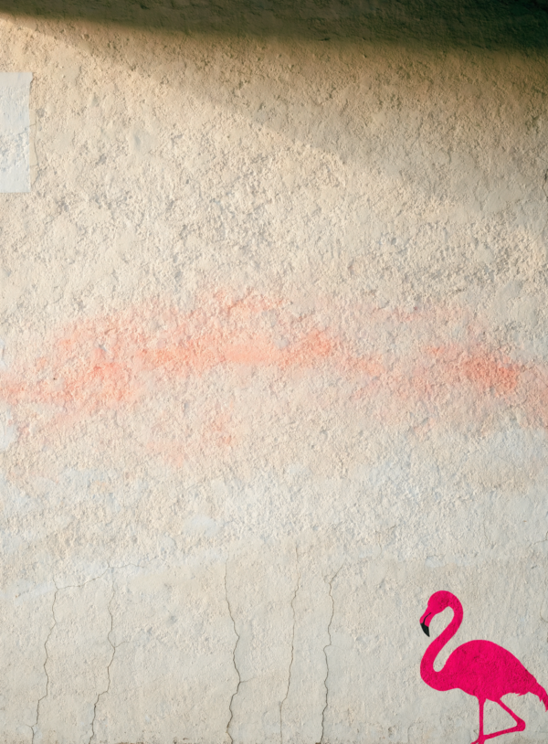 jbhTK4Oil_7jvbm-JjNm2_SA72R87q.webp Weathered cream plaster surface with cracks and a painted-over patch, and a small hot-pink stencilled flamingo silhouette near one edge.