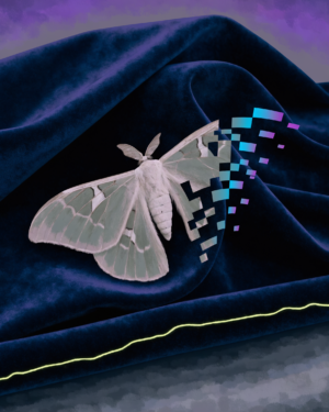 A moth resting on a deep velvet twilight ground, its upper wing torn into blocks of pixels with a red and cyan colour split.
