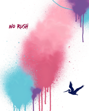 PtKdlxJDXHYnunv4JtKMS_BduKTj70.webp Sprayed pink, orange, turquoise and purple colour field on a plain wall with drips, a pelican silhouette in one thick brush line near the edge, and the words NO RUSH hand-lettered small and off-centre.