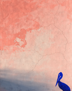 A cracked, sun-bleached coral and mint plaster wall with a small cobalt blue stencilled pelican in the lower corner.