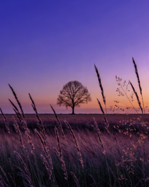 A dusk meadow in violet, indigo and amber with a low glowing horizon and a single tree whose trunk and branches form the shape of a hand.